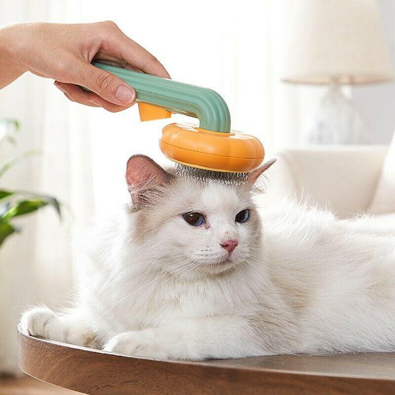 Pet Grooming Cleaning Brush Pumpkin