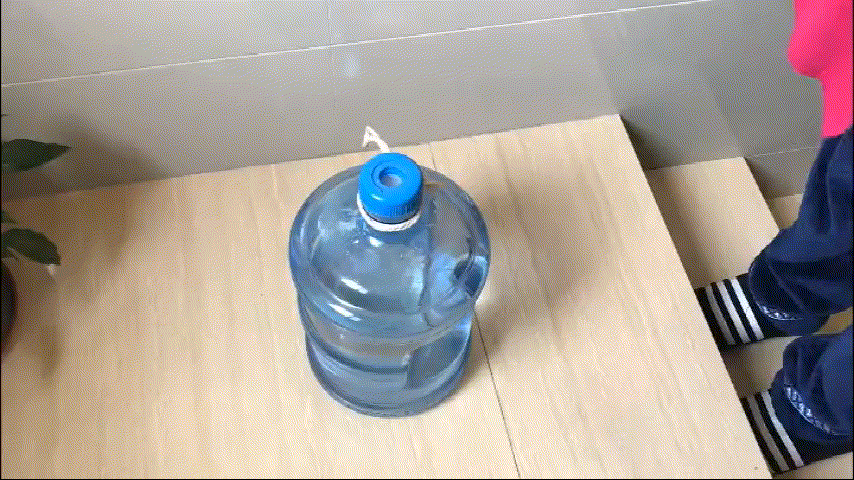 Self-adhesive Wall Hooks