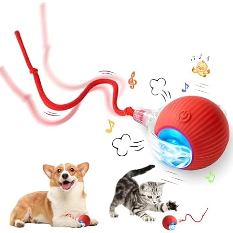 Rechargeable Smart Pet Interactive Toy