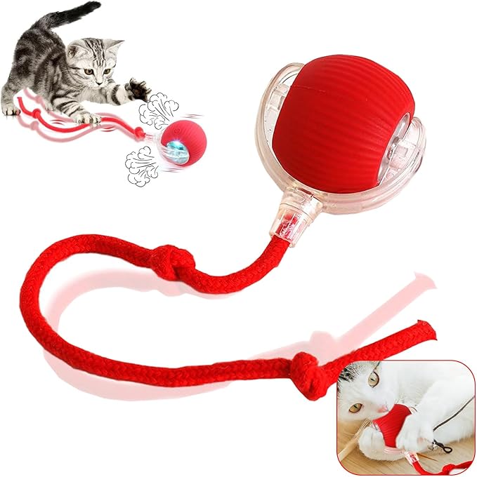 Rechargeable Smart Pet Interactive Toy