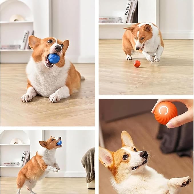 Pet Toy Ball Automatic Moving