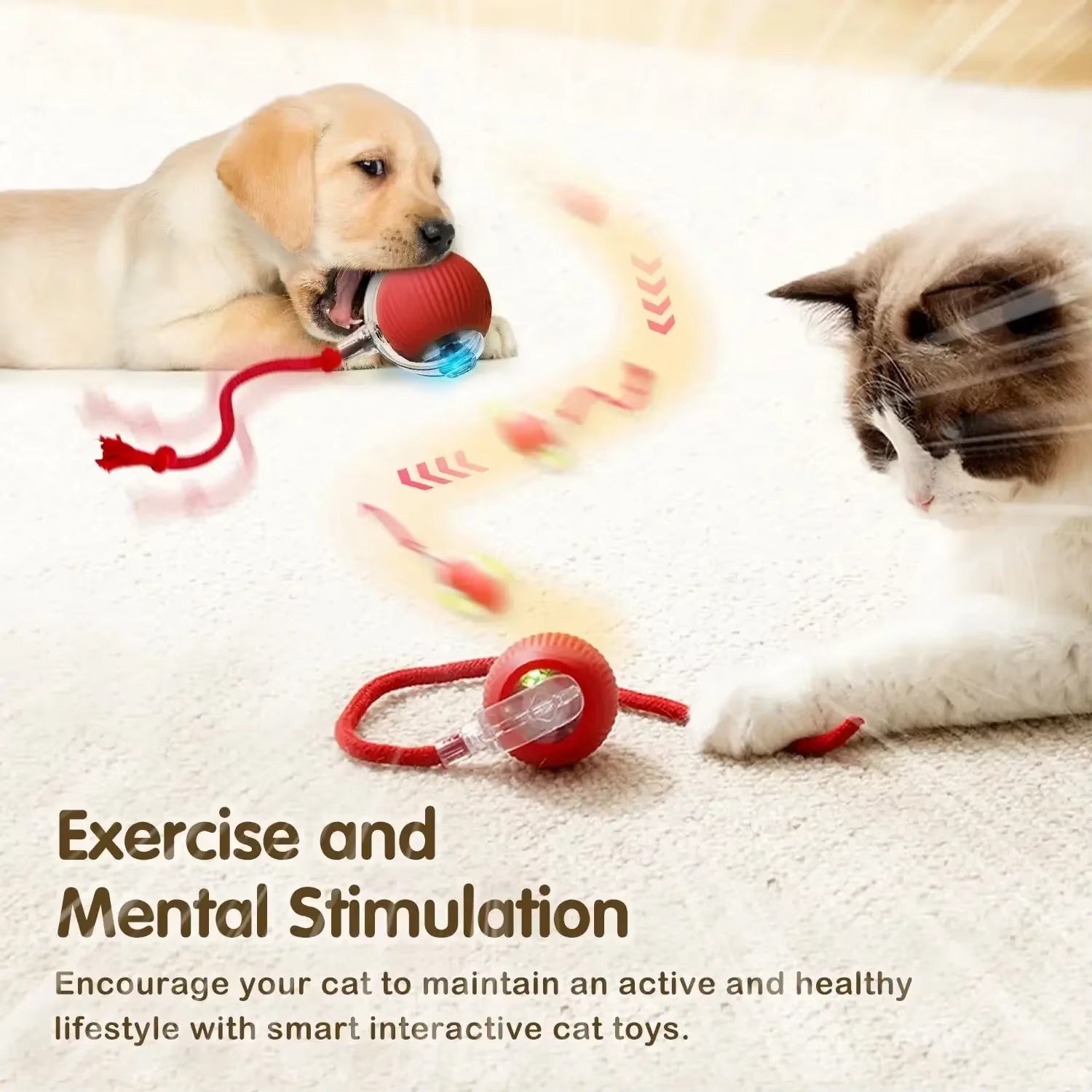 Rechargeable Smart Pet Interactive Toy