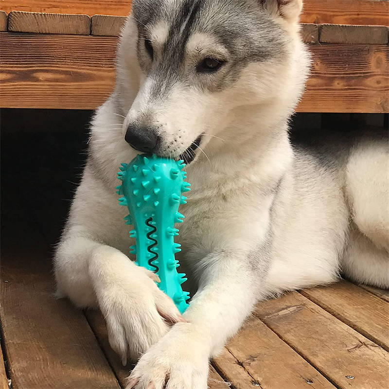 Dog Chew Toys For Aggressive Dogs