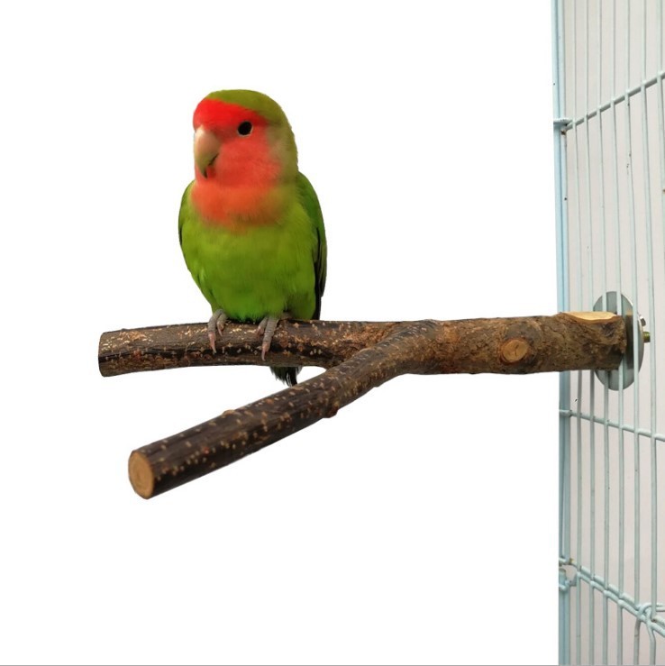 Bird Standing Frame Ring Chewing Toy Bird Cage